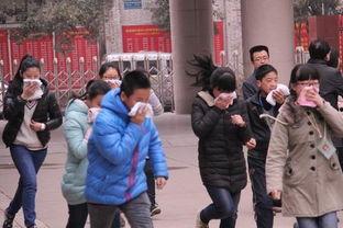 新建路中学入学最新爆料,揭秘招生政策与入学流程  第2张