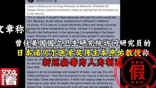 日本爆料新病毒视频大全,病毒大全深度解析  第2张