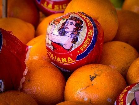 哈龙包子爆料视频,内幕惊人，行业乱象一览无余  第2张